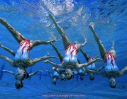 JRS低调看球-阿贾克斯比赛数据统计：世俱杯比赛全场技术指标解析